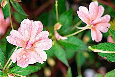 《捉鬼敢死队：灵魂释放》Epic发售 国区原价118元